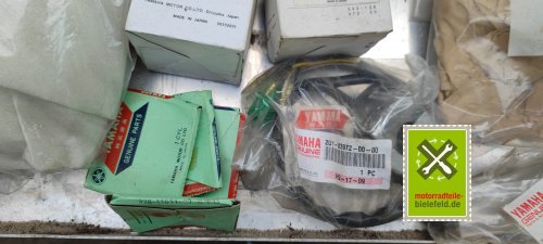 IMG_20230824_135822
